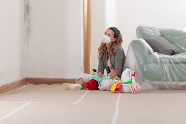 Reliable Black Mold Removal contractor in Richfield, MN by WQB Mold Removal